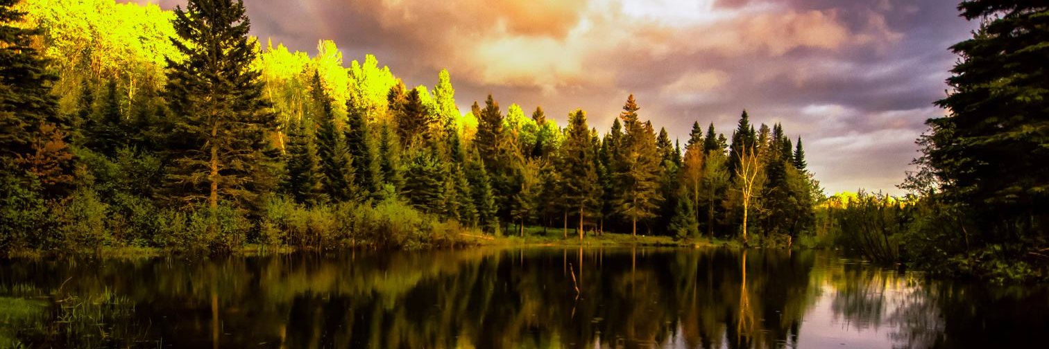 StuMorawski's profile banner image