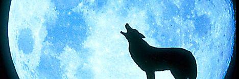 CIoudd9's profile banner image