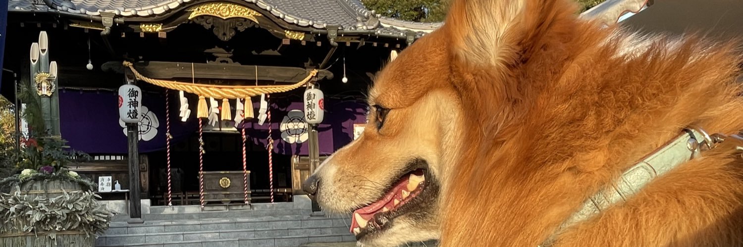 koni524442's profile banner image