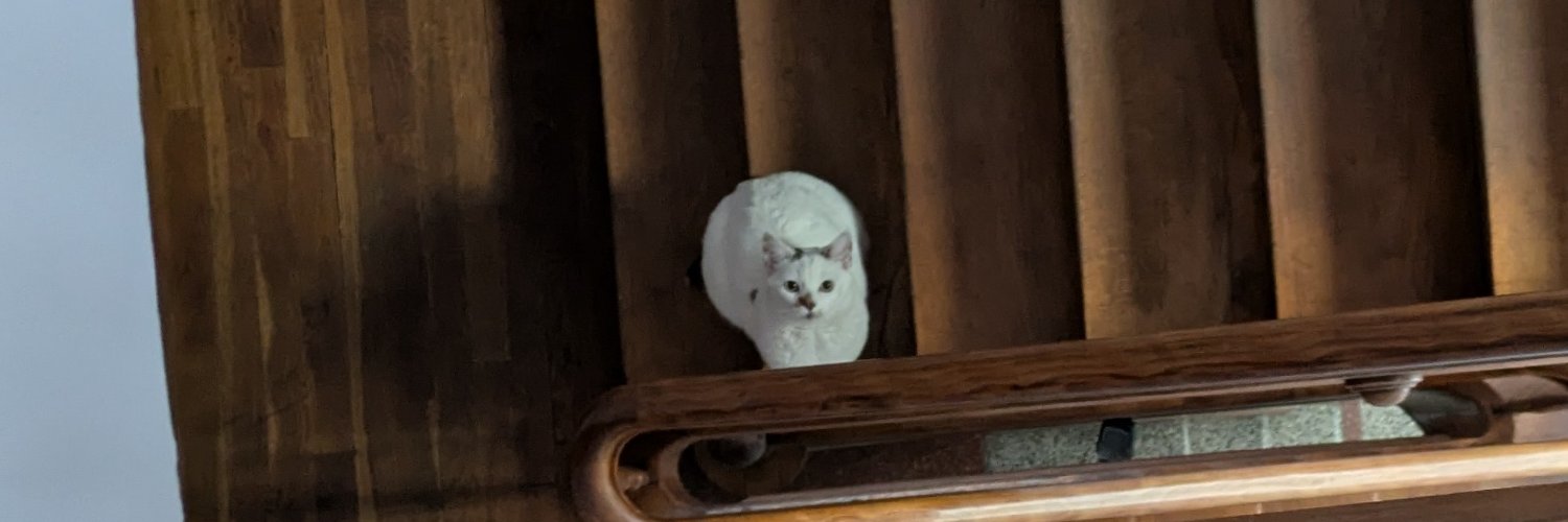 Adalbert Kuruatowska banner