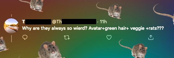 Fern🍉🏳️‍⚧️🐀 banner