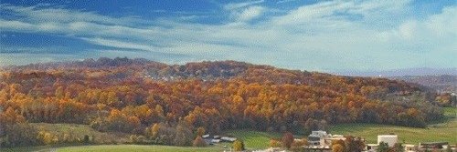 Nick Duca banner