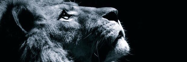 Prem__J's profile banner image