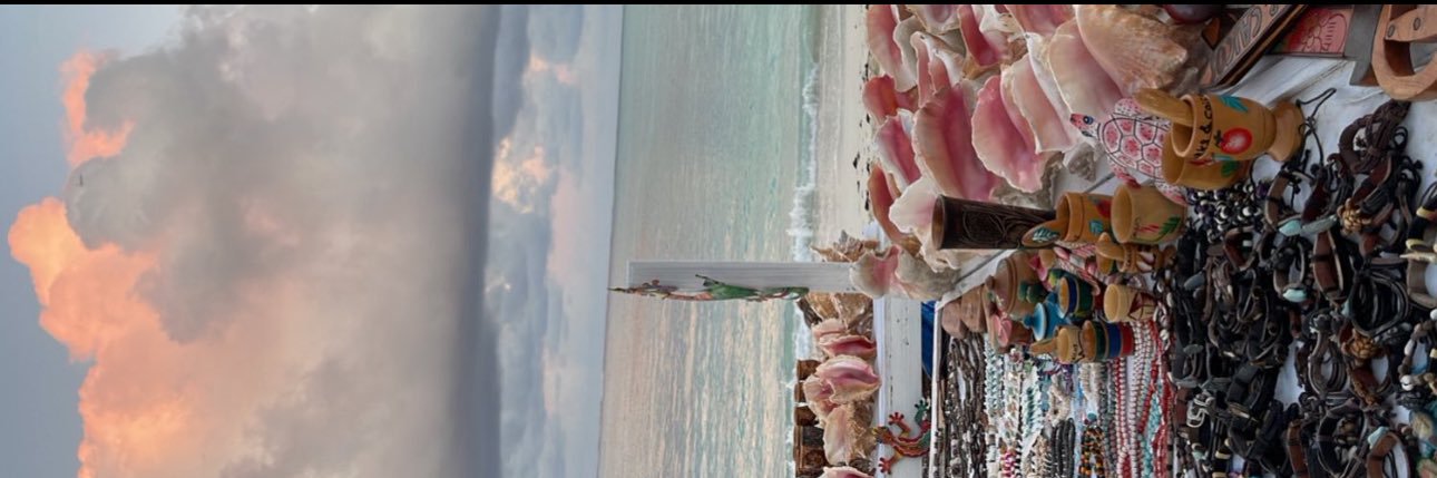 nelsaleeann's profile banner image