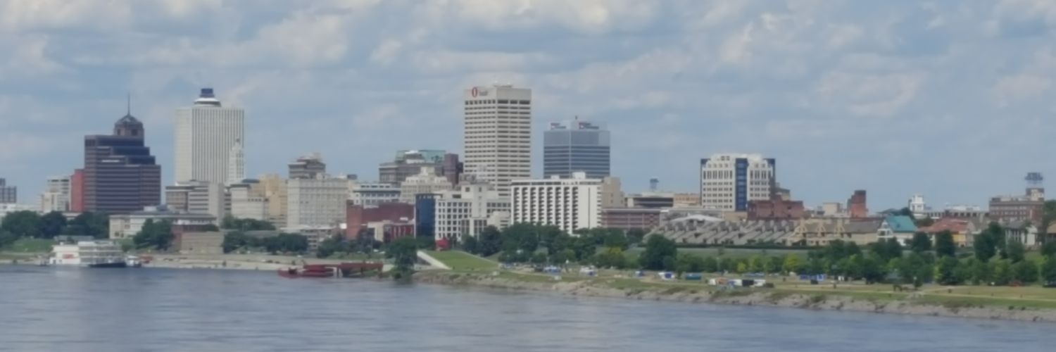 CarolEllenHall's profile banner image
