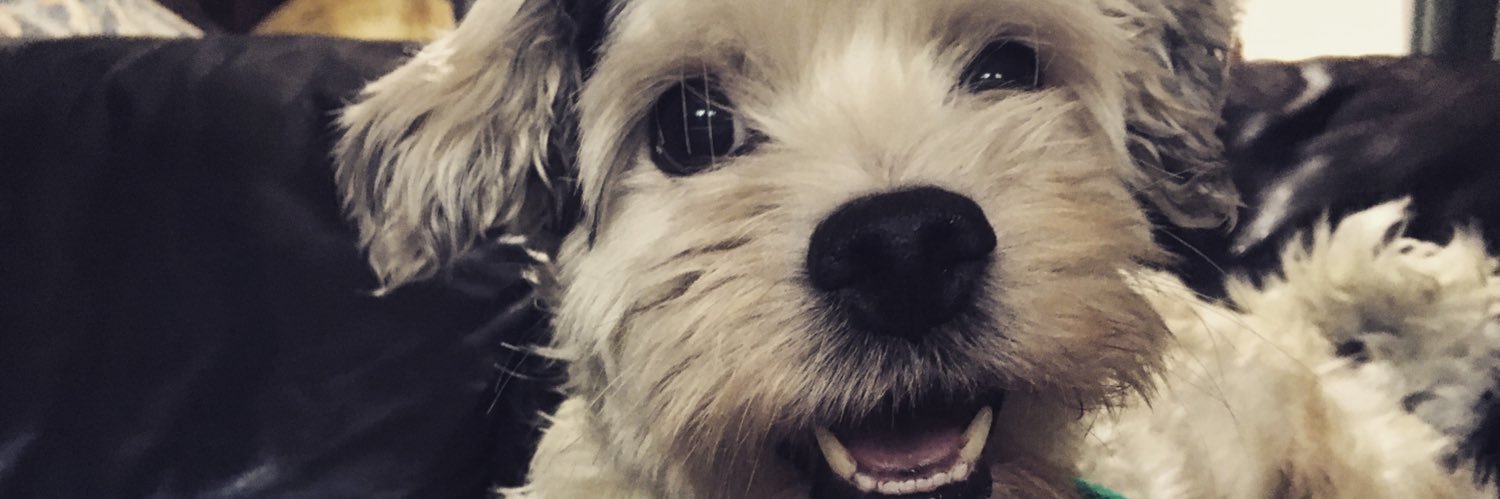 Bubita🌹 banner