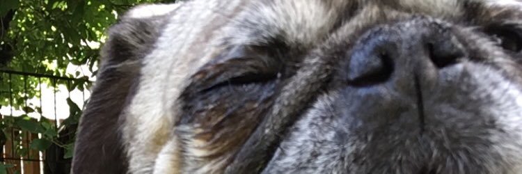 magharshaw's profile banner image
