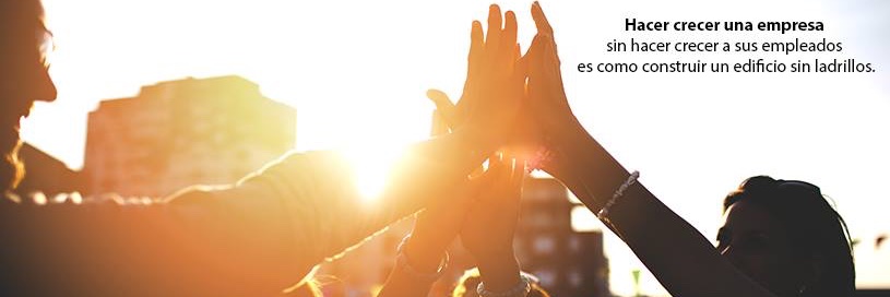 FreshCo Formación y Consultoría banner