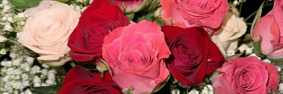 BitaniyaZeru's profile banner image