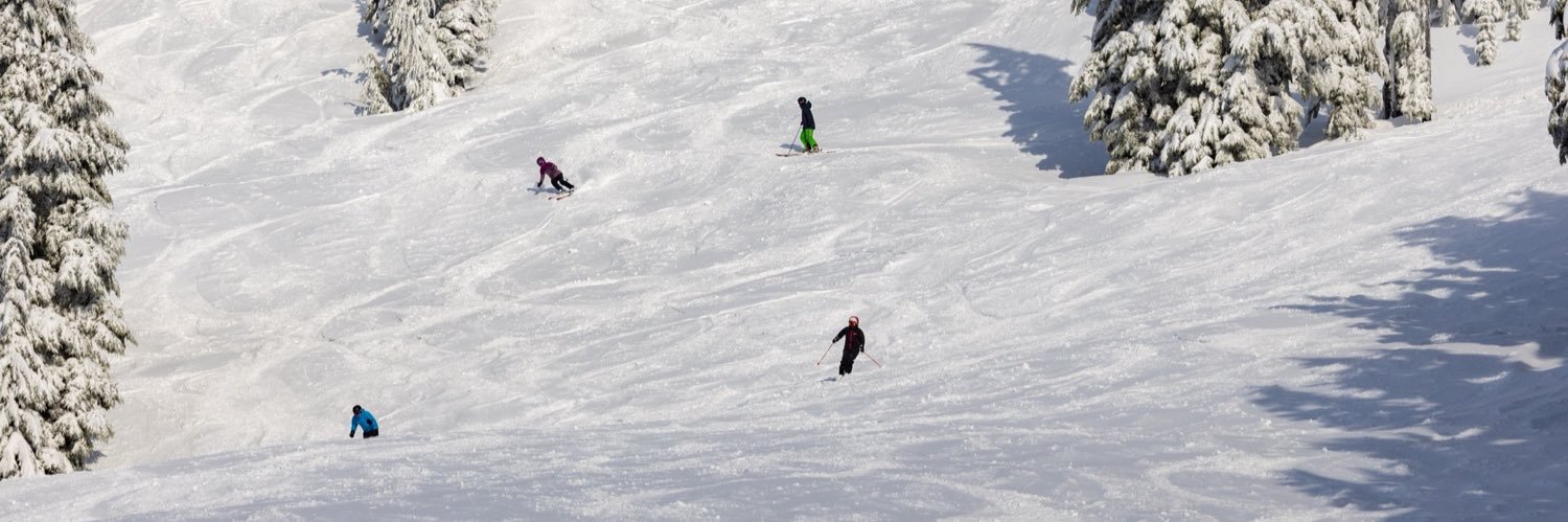 Mount Washington banner