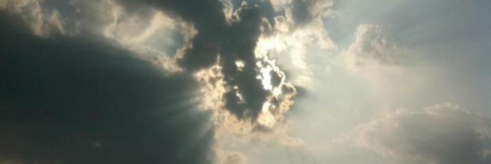yellowdove07's profile banner image