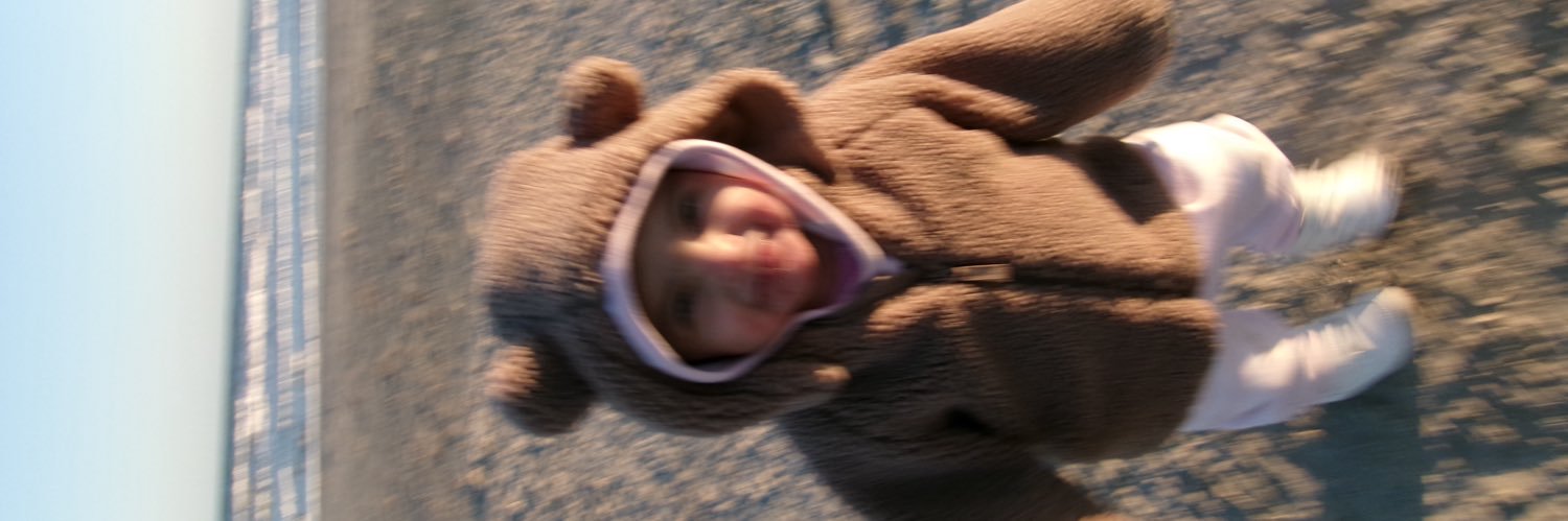 maytacos's profile banner image