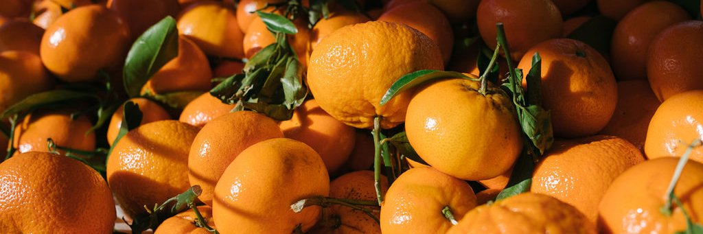 Agricultural Institute of Marin banner