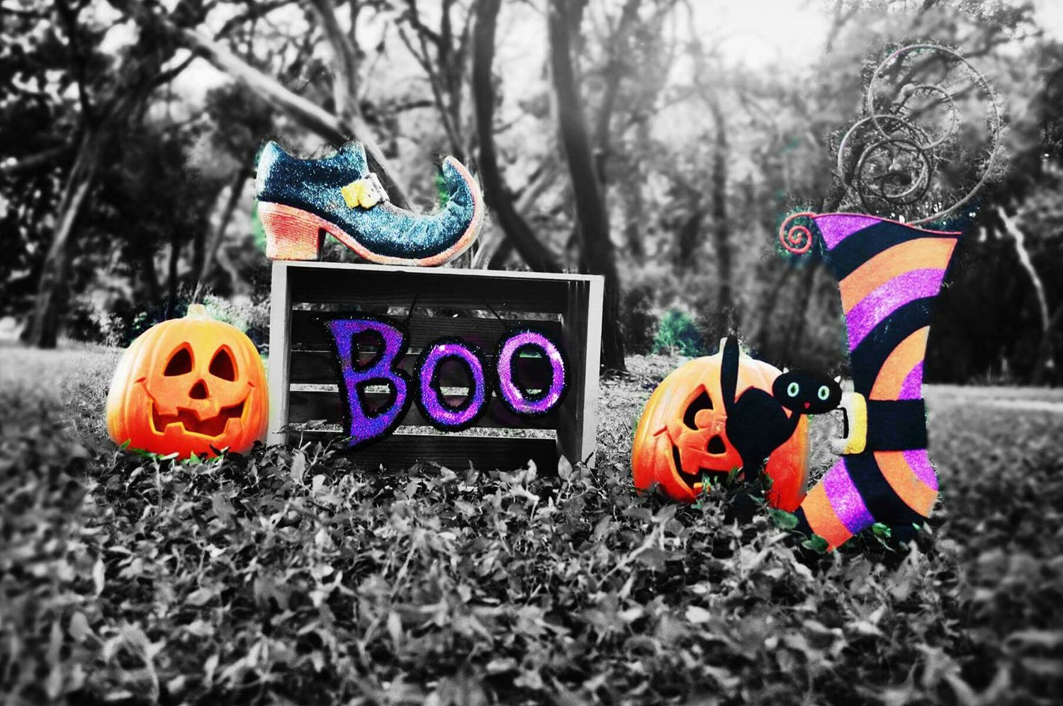 k_maritza's profile banner image