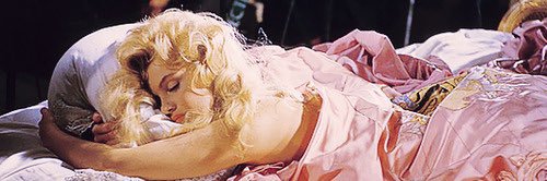 amyburrito's profile banner image