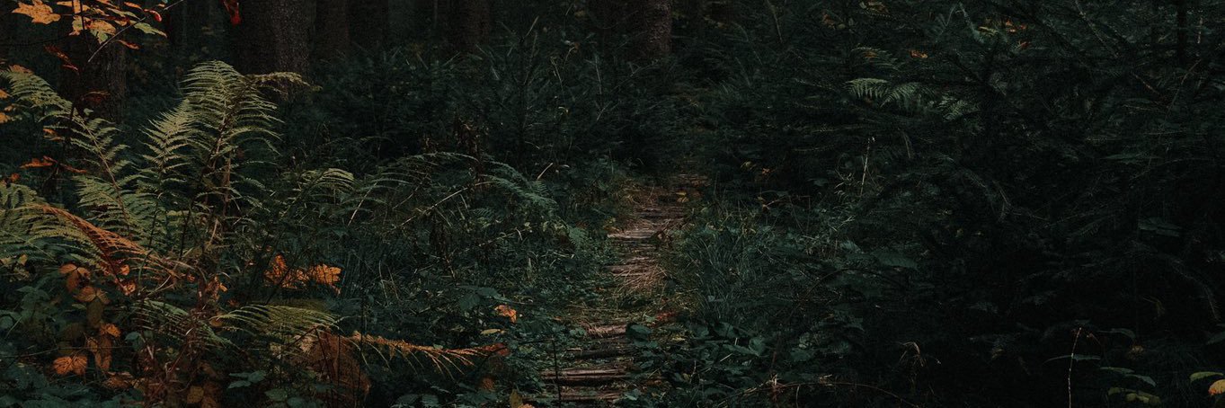 ayyy_jesse's profile banner image