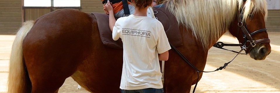 equiphoria's profile banner image