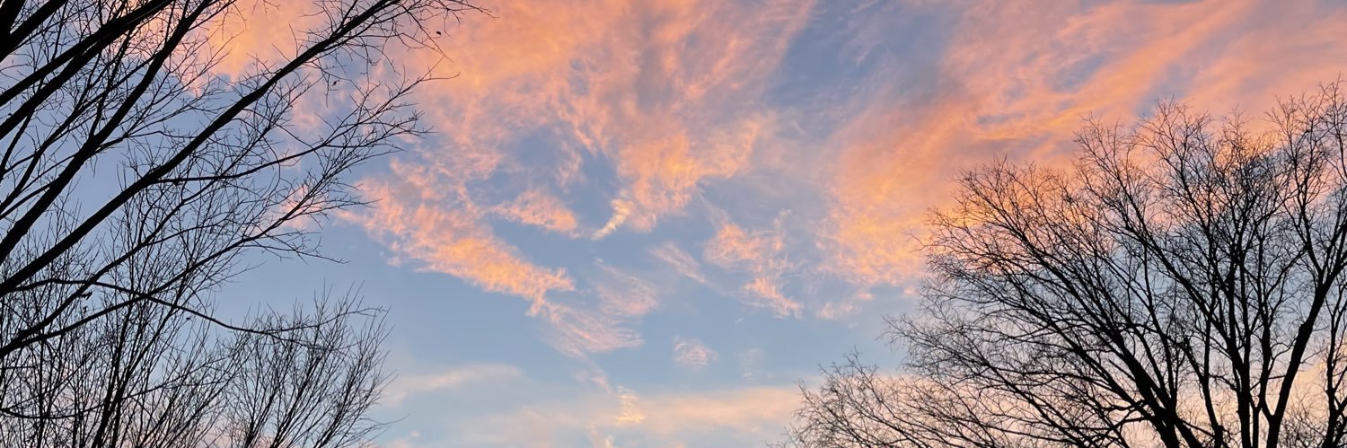 danielle_samler banner