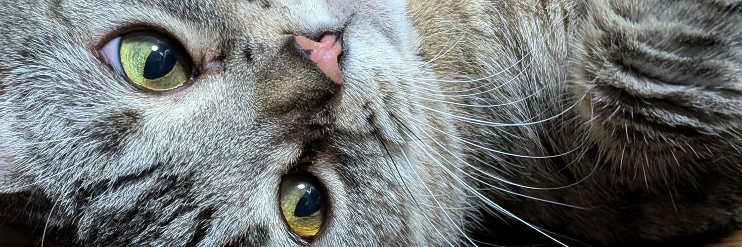 tora27mi's profile banner image