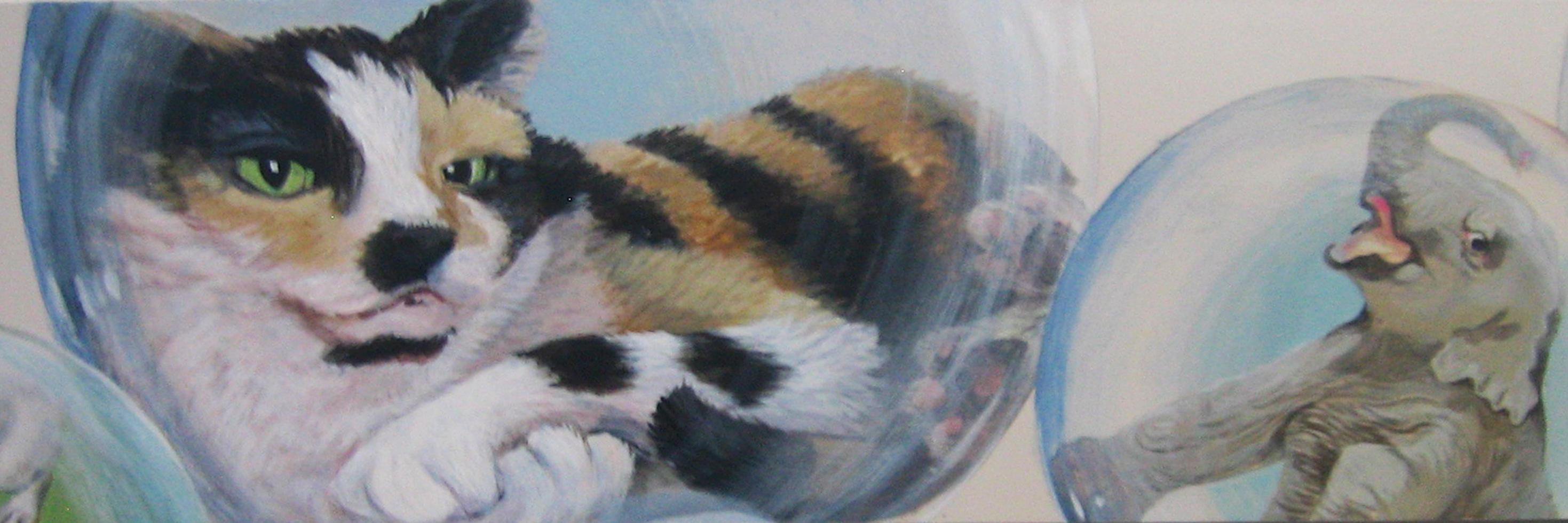 animallounge's profile banner image
