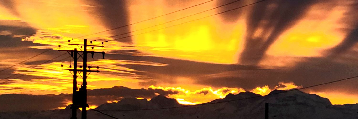 pauluchin's profile banner image