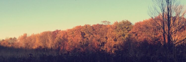 reneeemaria's profile banner image