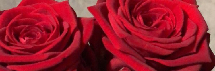 EstL_'s profile banner image
