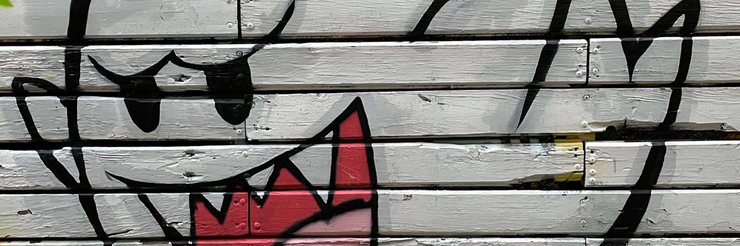 Macarena Morales 🌺 banner