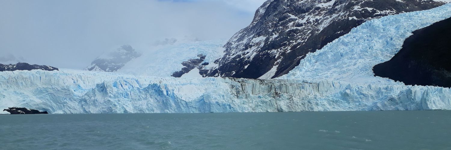 inepetrich's profile banner image