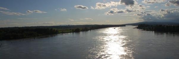 Grace Kennedy banner