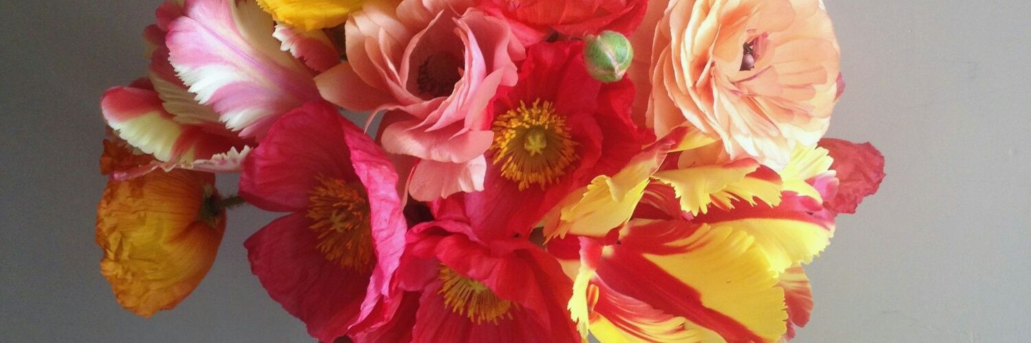 SusanBelson's profile banner image