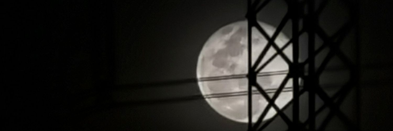 dyhljaniola's profile banner image