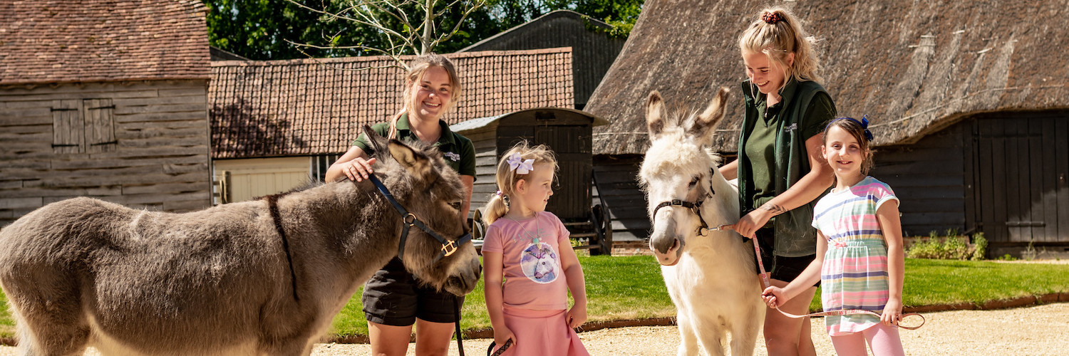 HantsTopDaysOut banner