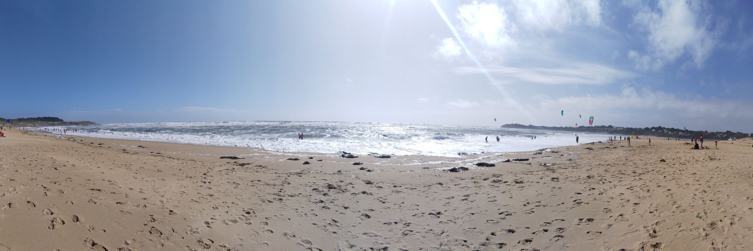 Morgane Kythis banner