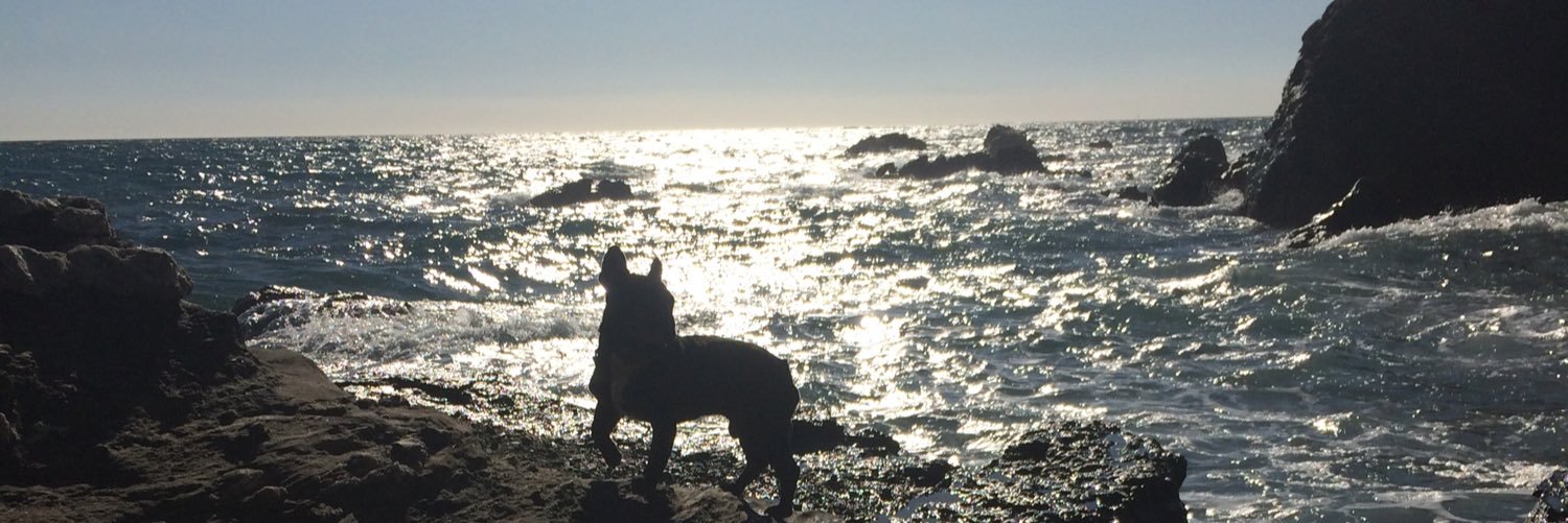 b_piedra's profile banner image