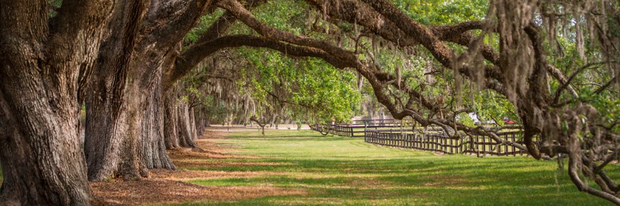 NicholasColvard's profile banner image