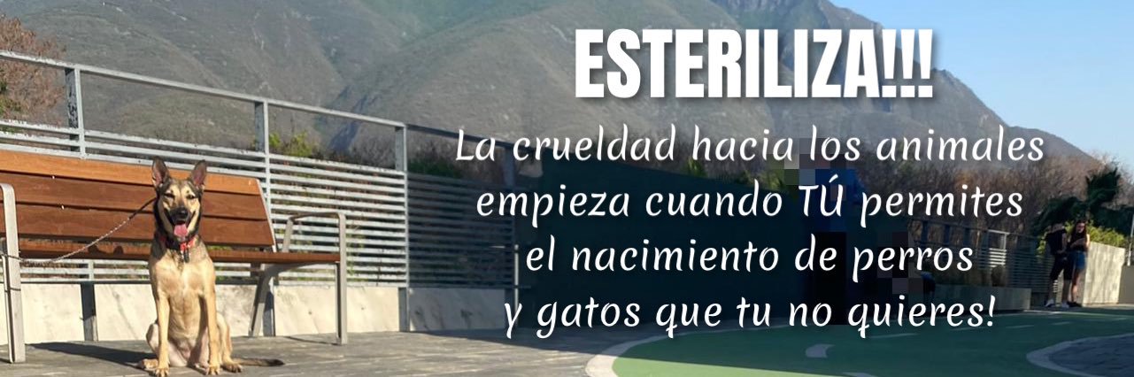 Crear.- Comunidad de Rescates y Adopciones Regias banner