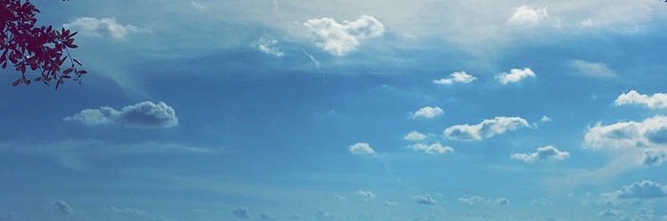 phillipmichaeli's profile banner image