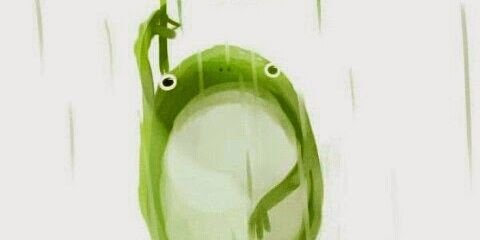 Evawell's profile banner image
