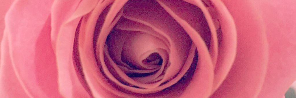 RockNDolche's profile banner image