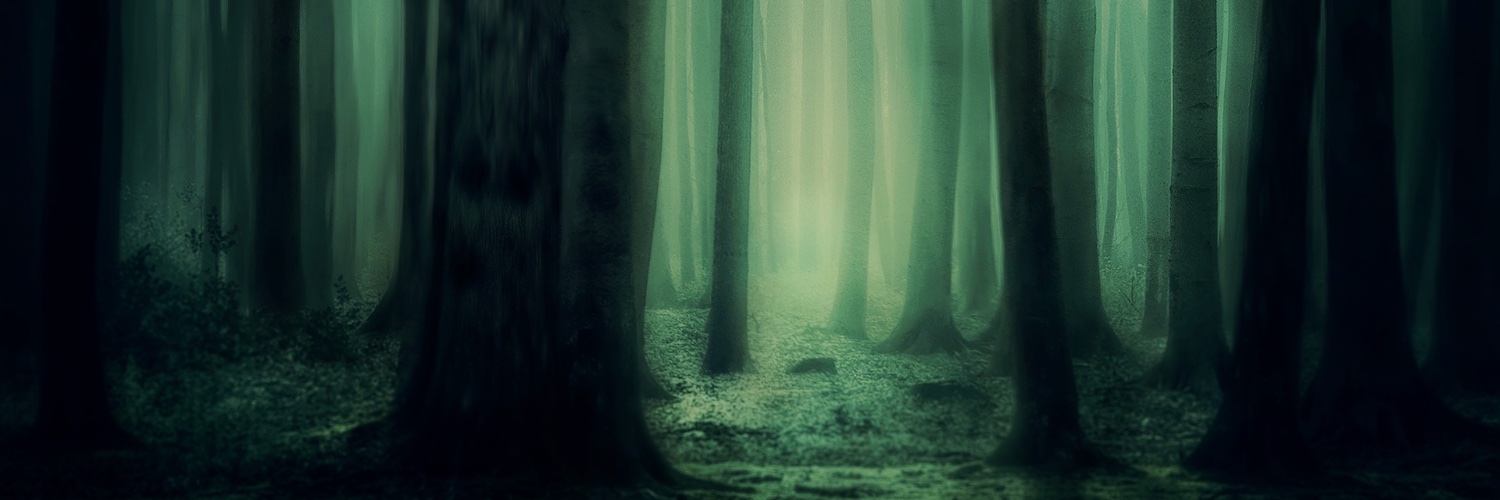 kaiterest's profile banner image