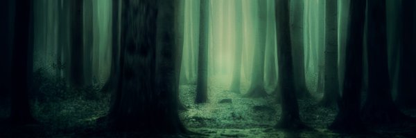 kaiterest Profile Banner