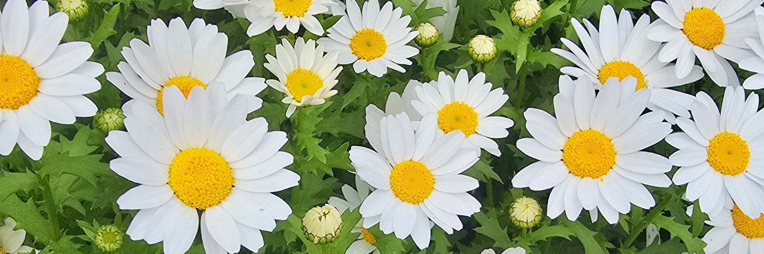 ao6923's profile banner image