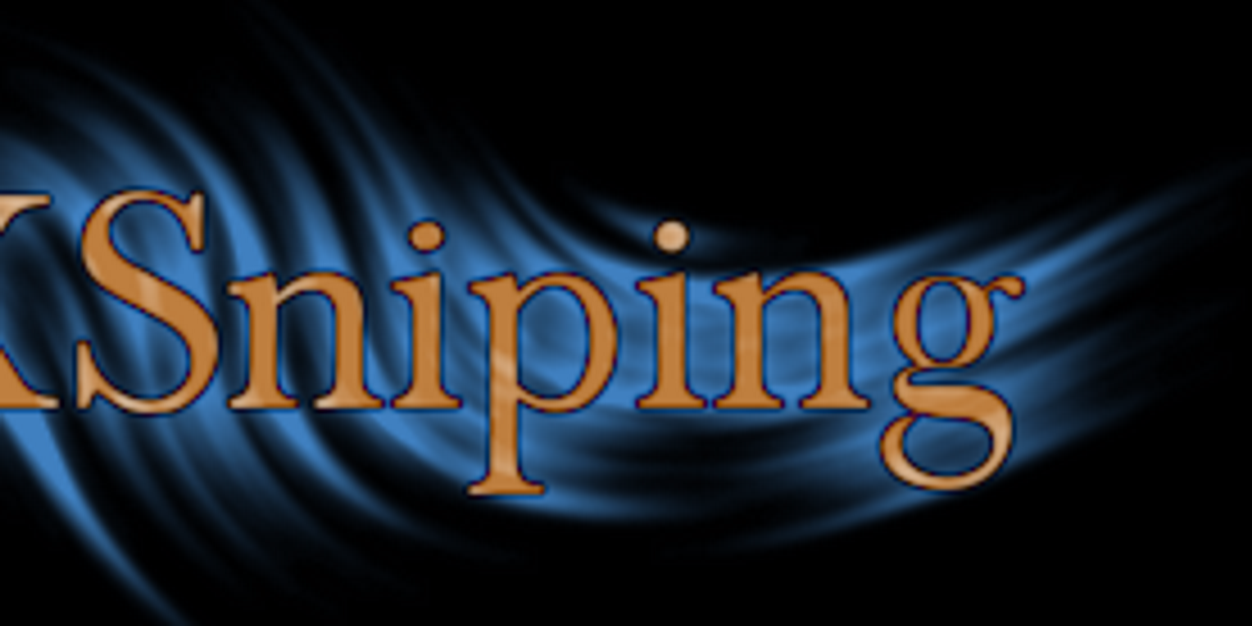 AriXSniping's profile banner image