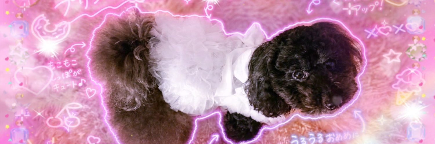 fotydesu's profile banner image