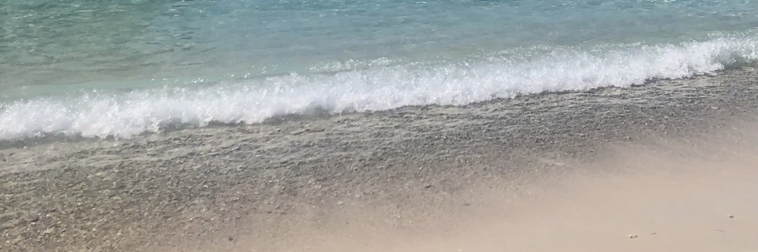 danielamarcucci's profile banner image