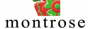 Montrose Properties banner