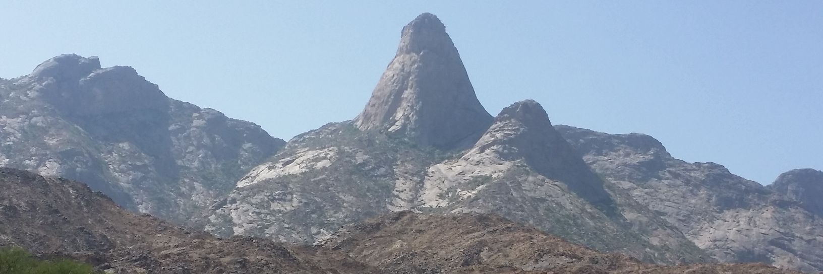 أ.د .عبدالله مصلح الثمالي banner