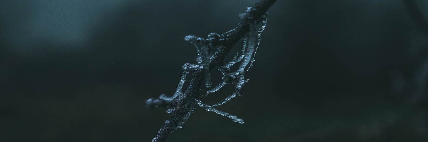 EmilieSovran's profile banner image