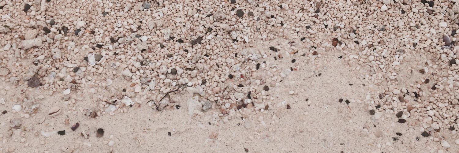roseyc_3's profile banner image